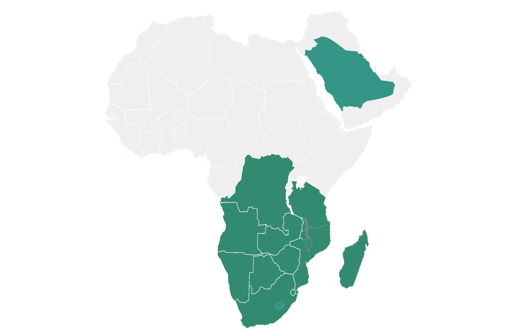 d333f919-7b43-4cfd-87ac-9ae367d1273922